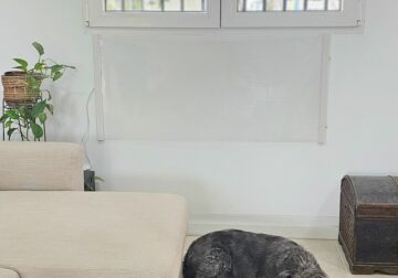 Lanzan un radiador ‘made in Murcia’ que ahorra un 70% en electricidad