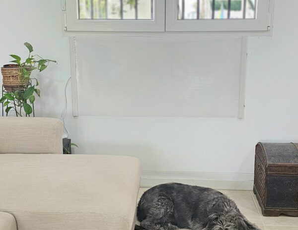 Lanzan un radiador ‘made in Murcia’ que ahorra un 70% en electricidad