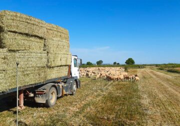 BioPalacín Planet se consolida en el mercado gracias al aumento del valor que el consumidor otorga a los alimentos km 0