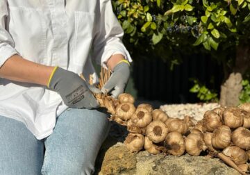 La Abuela Carmen reinventa el trenzado ancestral con su ajo negro