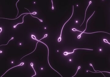 Dra. Miren Mandiola, directora del Laboratorio de Reproducción Asistida del Hospital de Día Quirónsalud Donostia: «Los donantes de semen tienen muchos más estudios realizados que cualquier pareja en un embarazo natural»