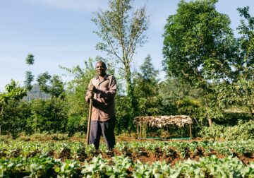 Smoking Paper contribuye a la plantación de 245.922 árboles