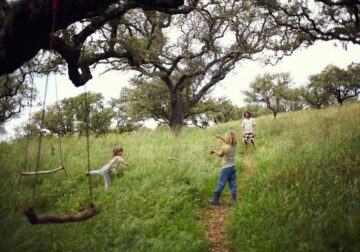 Traditional Dream Factory supera los 1,2 millones de euros y lidera la economía regenerativa en Europa