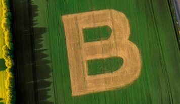 Bonduelle obtiene la certificación B Corp en todas sus operaciones a nivel mundial