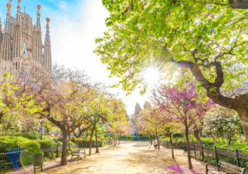 Copisa avanza sus obras: entorno de la Sagrada Família, CAP de Castelldefels y Escuela Les Filadores