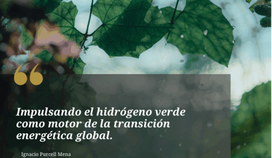 Ignacio Purcell Mena y la apuesta estratégica por el hidrógeno verde