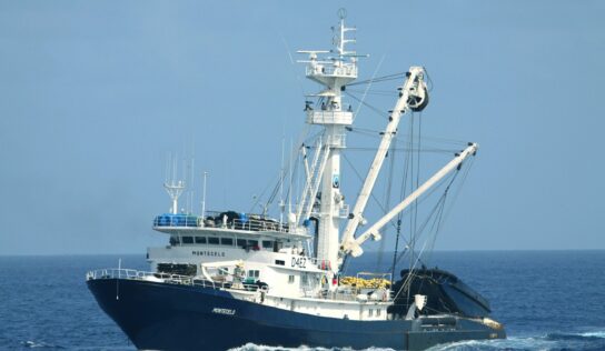 AGAC certifica con MSC el último stock pendiente de atún listado y hace historia en la pesca sostenible mundial