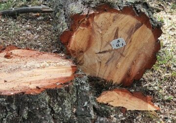 COPADE refuerza su liderazgo como motor del Comercio Justo en España con una nueva apuesta por la comercialización de productos de impacto