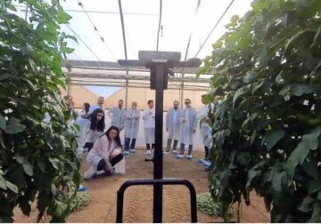 Cajamar Innova Agrotech lanza tres nuevos Retos Tecnológicos para impulsar la innovación en el sector agroalimentario