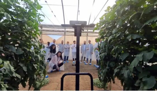 Cajamar Innova Agrotech lanza tres nuevos Retos Tecnológicos para impulsar la innovación en el sector agroalimentario