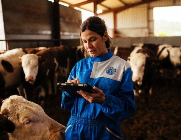 Provacuno lanzará una app para medir la huella de carbono del vacuno de carne en España, durante el segundo año de la campaña ‘Por una Europa sostenible, la misión especial del vacuno’