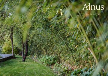 Alnus Paisajistas consolida su trayectoria como estudio de paisajismo sostenible en Madrid