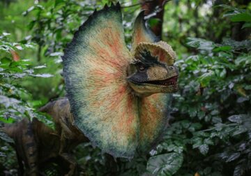 Los dinosaurios cobran vida en San Martín de Valdeiglesias (Madrid): Dinolandia abrirá el 2 de abril