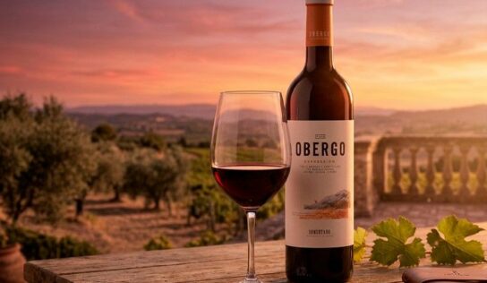 Obergo pone en valor el carácter del territorio en su vino cabernet sauvignon del Somontano