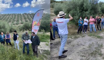 VivaOliva impulsa la agricultura regenerativa en Jaén con la formación de un centenar de agricultores