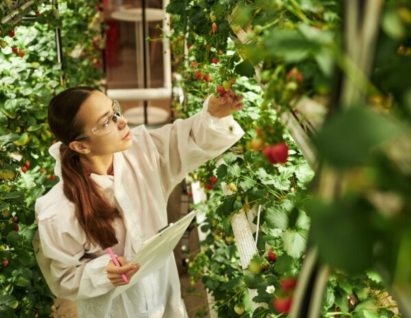 Eatable Adventures lanza Raíces para cerrar la brecha de inversión en startups hispanohablantes
