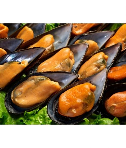 Mariscos del Rey lleva el auténtico sabor del océano a la mesa con una calidad y frescura inigualables
